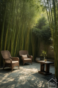A tranquil bamboo garden patio with two woven rattan chairs, a small wooden table, and tall bamboo stalks creating a private, shaded retreat.